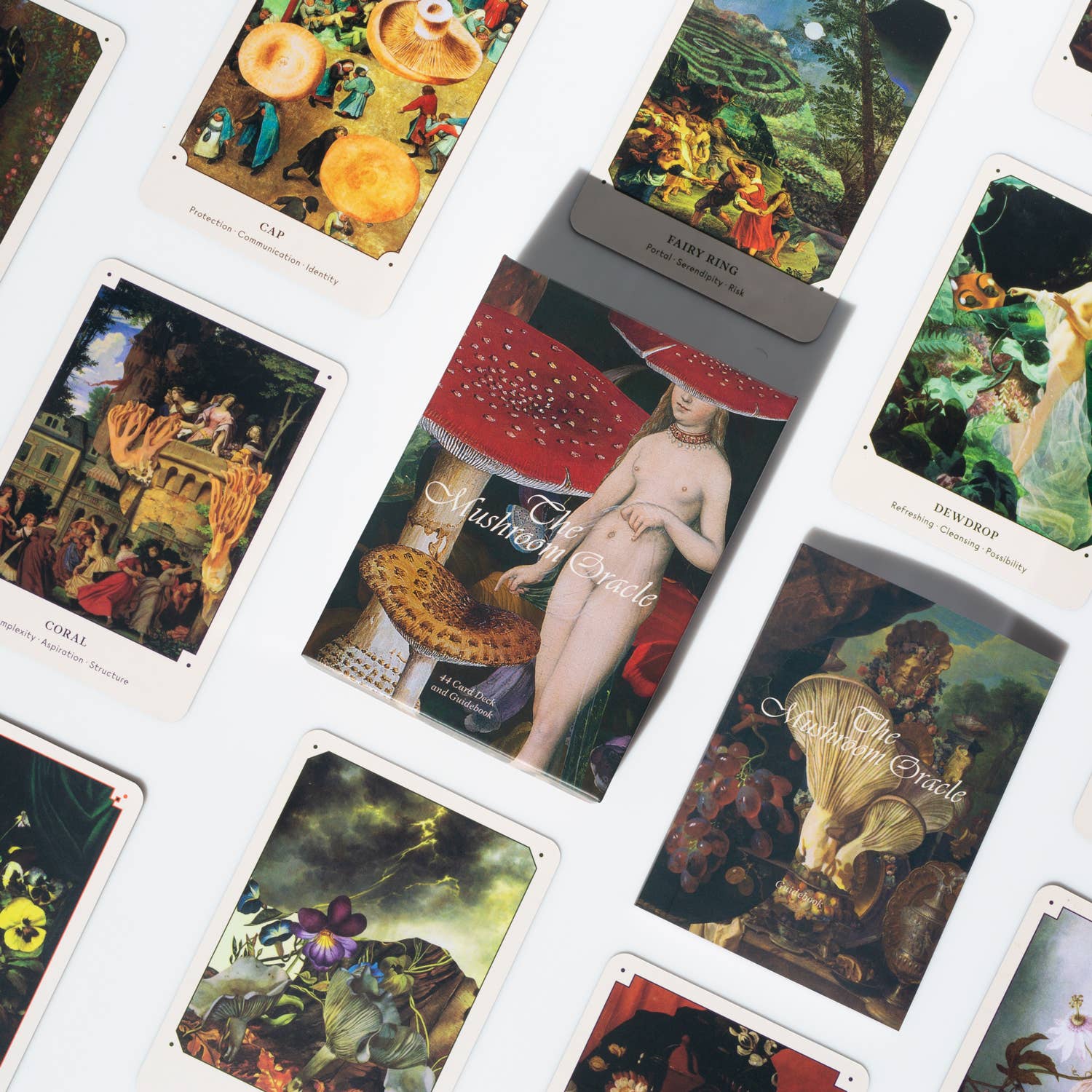 The Mushroom Oracle- Tarot Deck