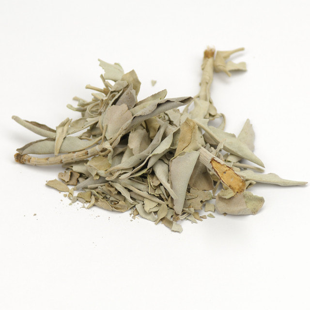 Sage (salvia officinalis)