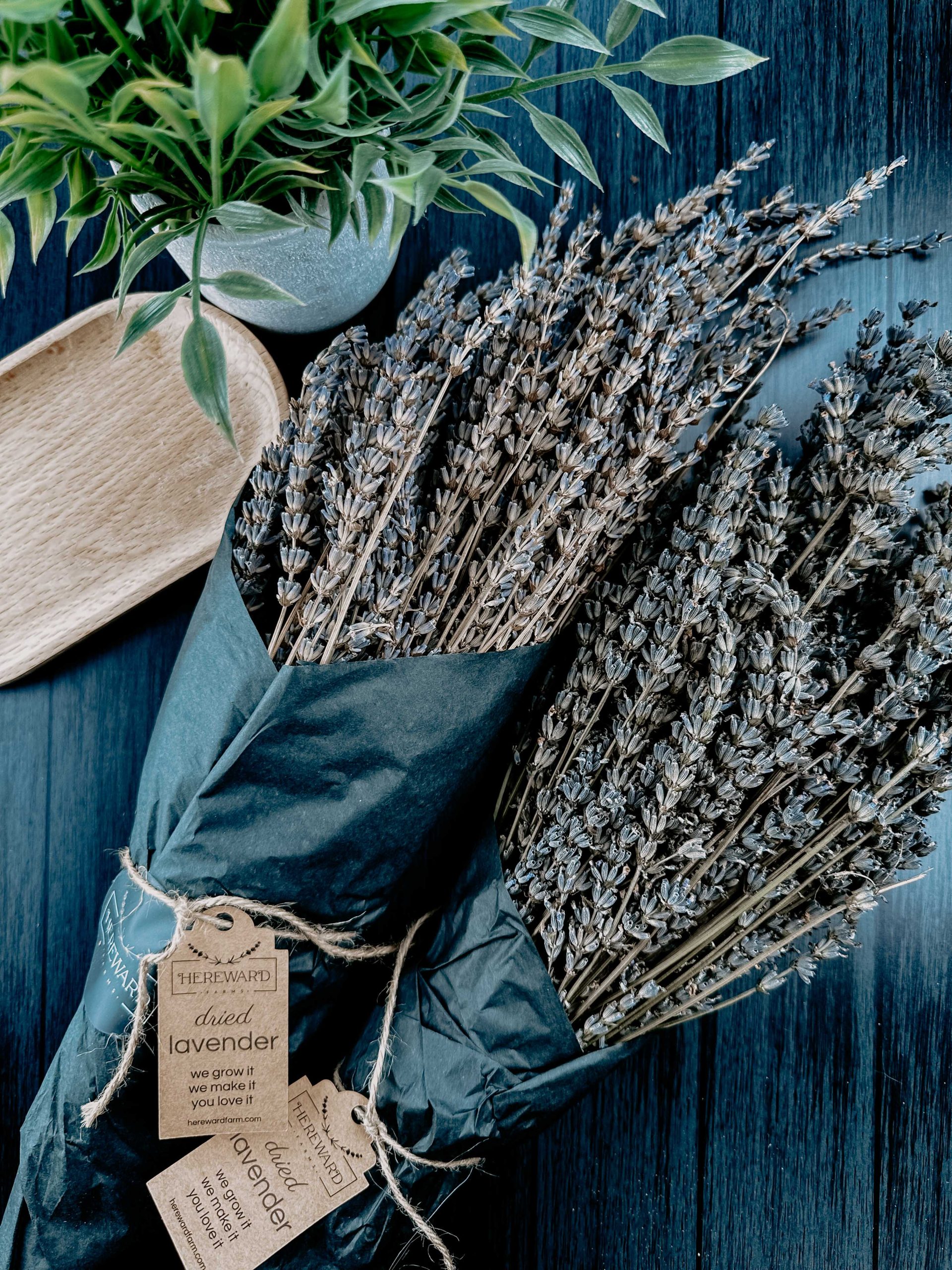 Dried French Lavender Bundle
