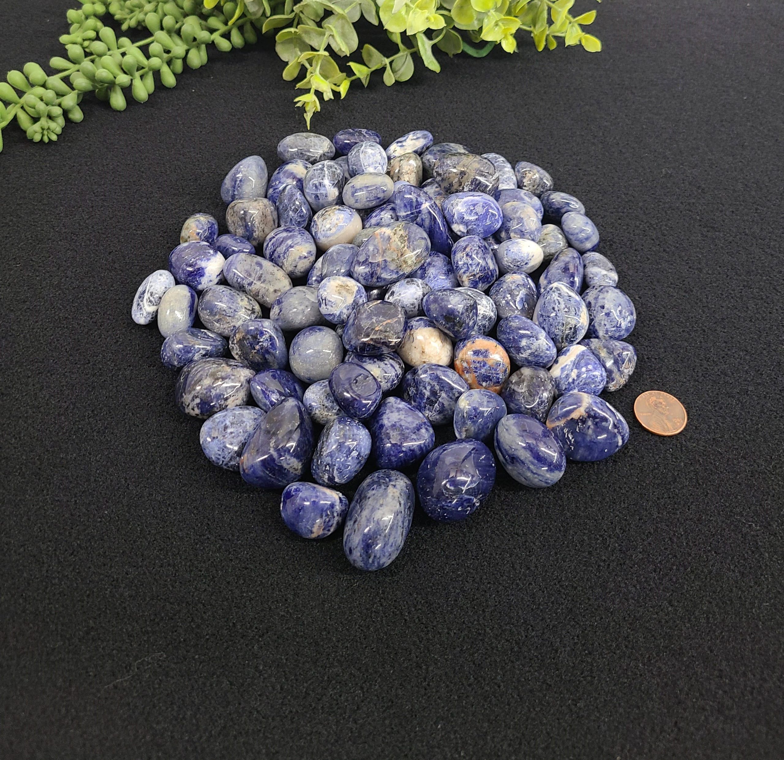 Sodalite (1kg/2.2 lbs.) Tumbled Stone 20-25mm